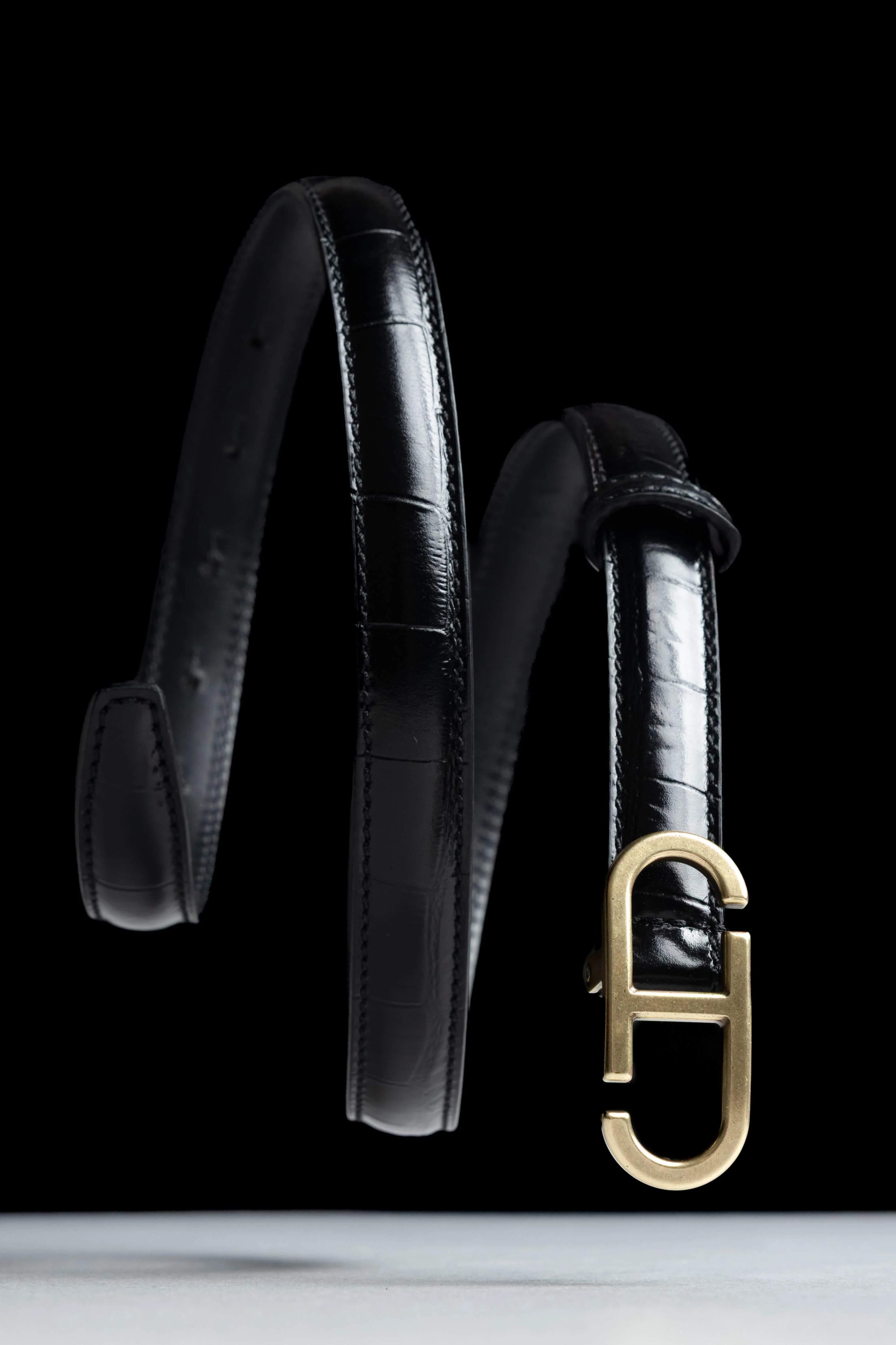 Trophy Black Brass Crocodile