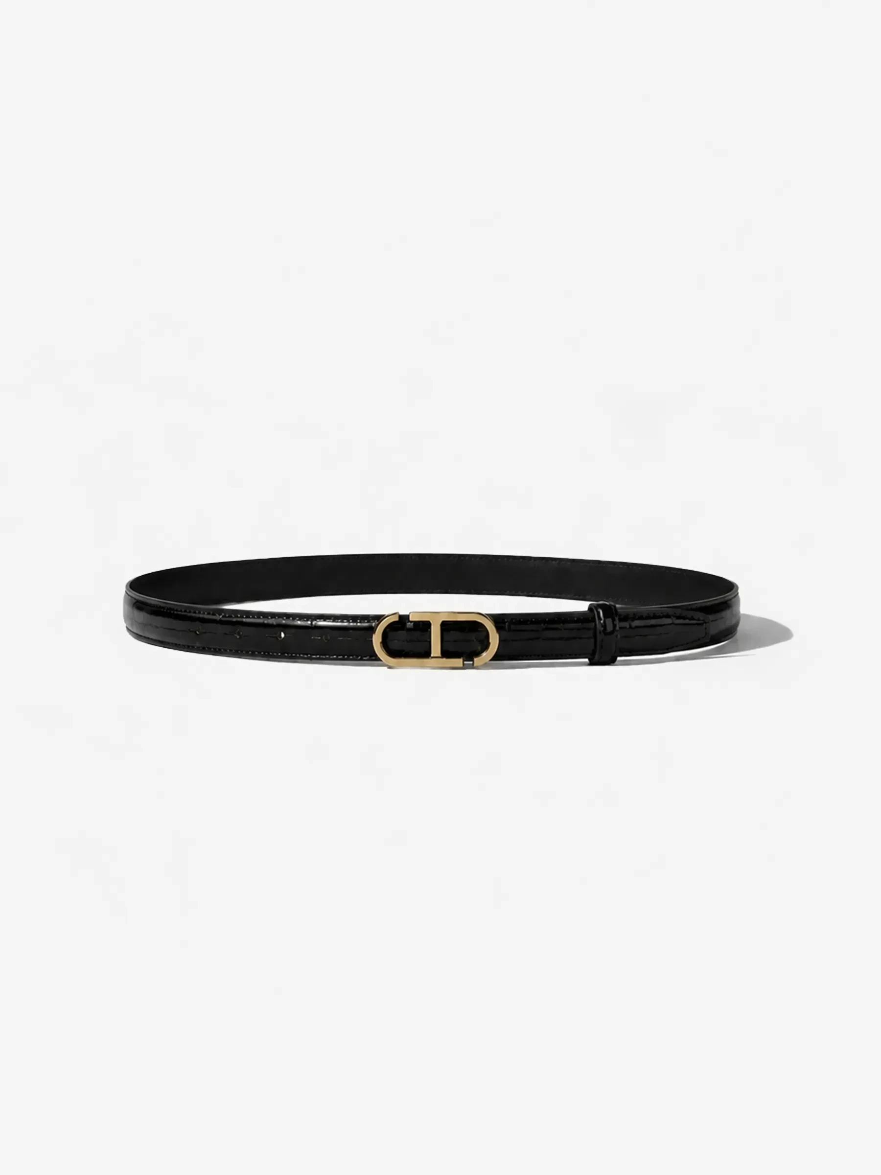 Trophy Black Brass Crocodile
