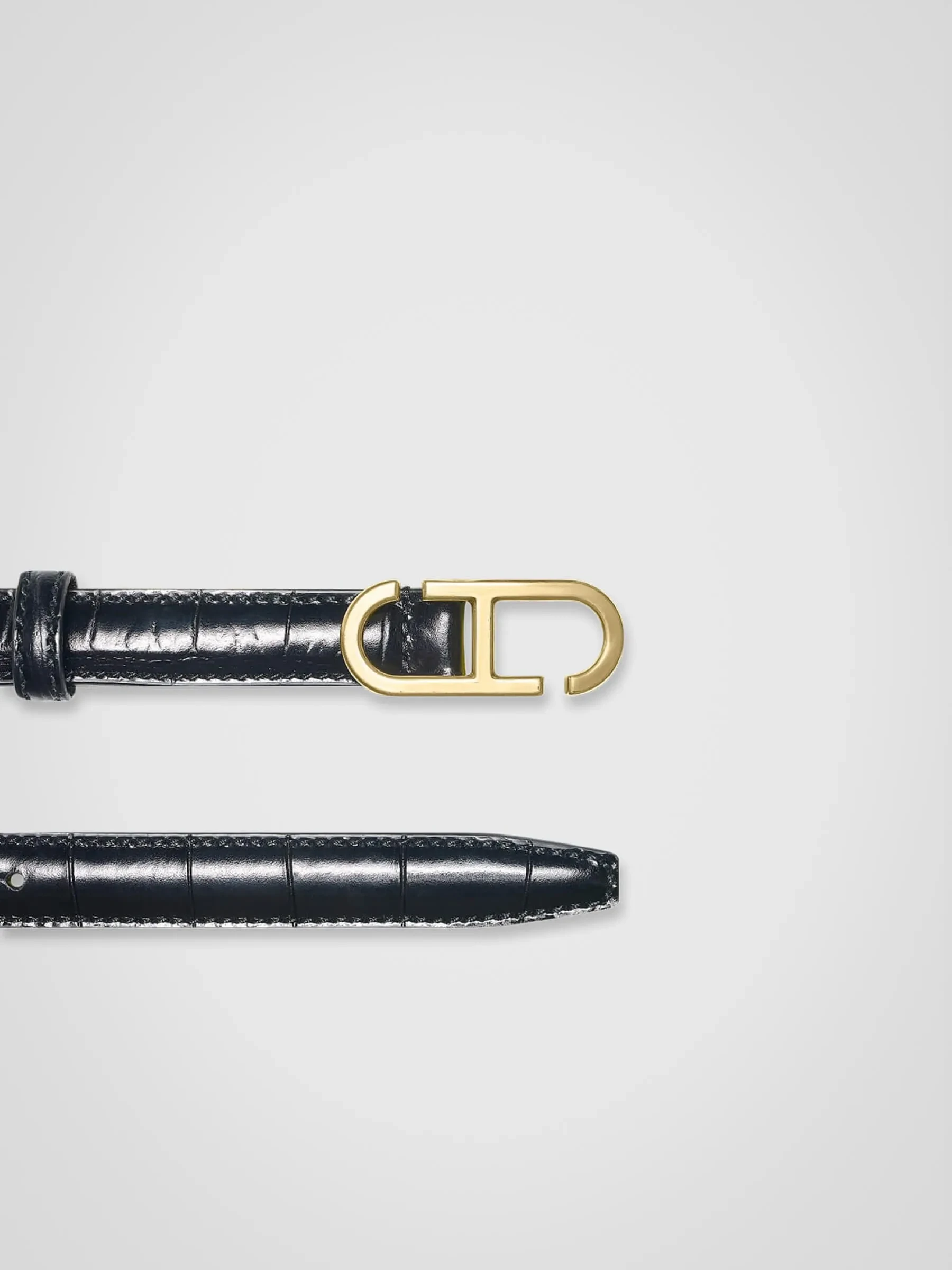 Trophy Black Brass Crocodile