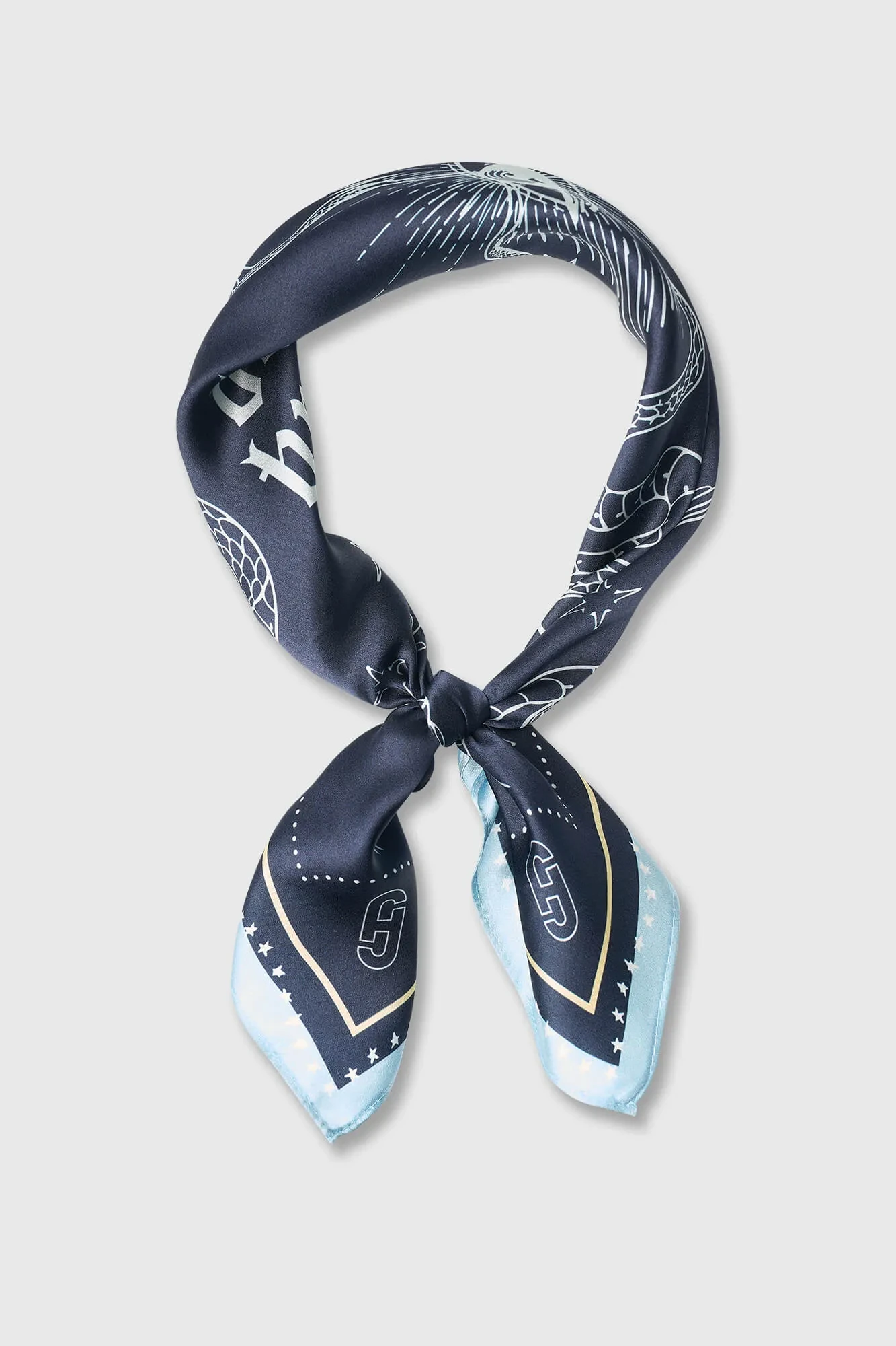 Seidenschal für Damen, Print „Effron“, blau