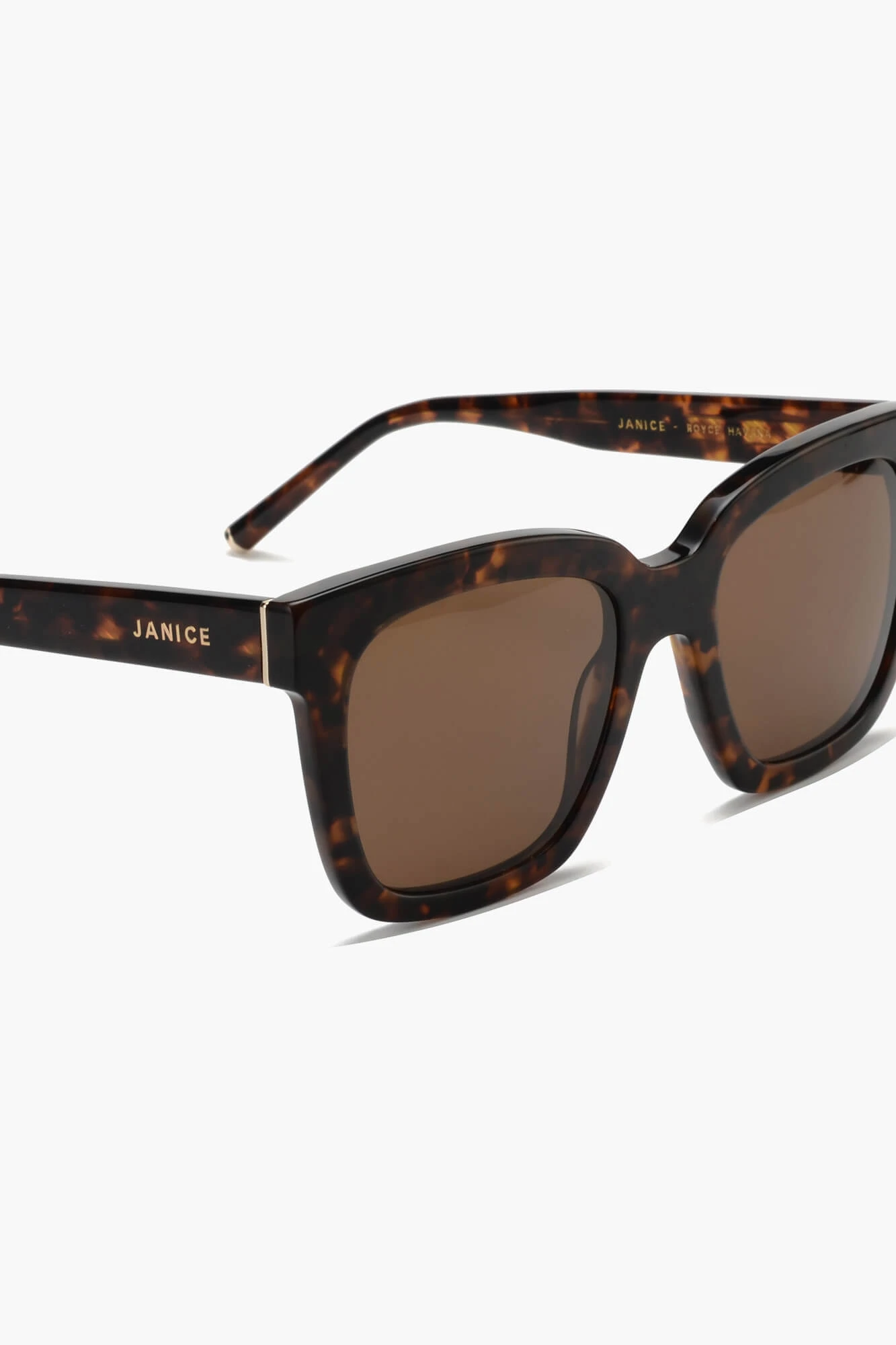 Women's Royce Brown Havana Sunglasses